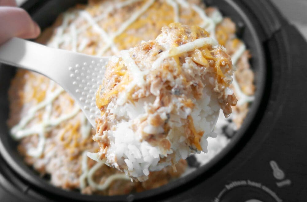 salmon-air-fried-rice-2