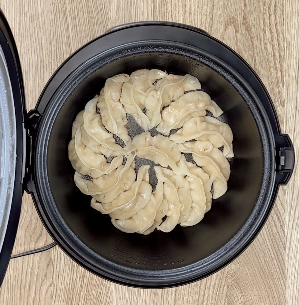 rice-cooker-gyoza-thumbnail-2