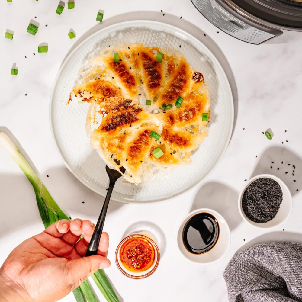 crispy-skirt-dumplings-3