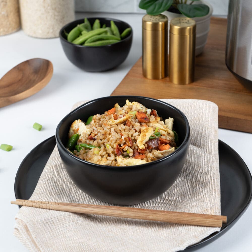 arc-1290c_salmon-fried-rice-_1